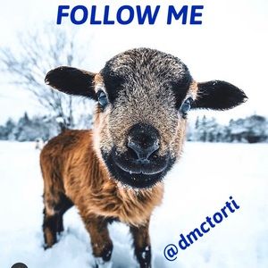 My 1st Follow game!